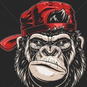 Meet your Posher, Roman